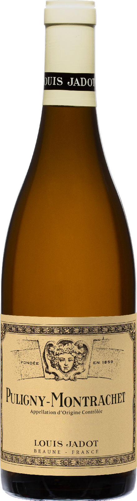 Puligny-Montrachet – Palais du vin