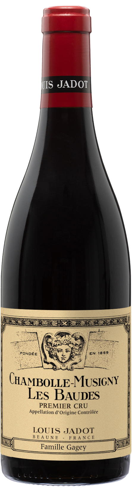 Chambolle-Musigny Les Baudes---2019---Rouge---Louis Jadot---0.75