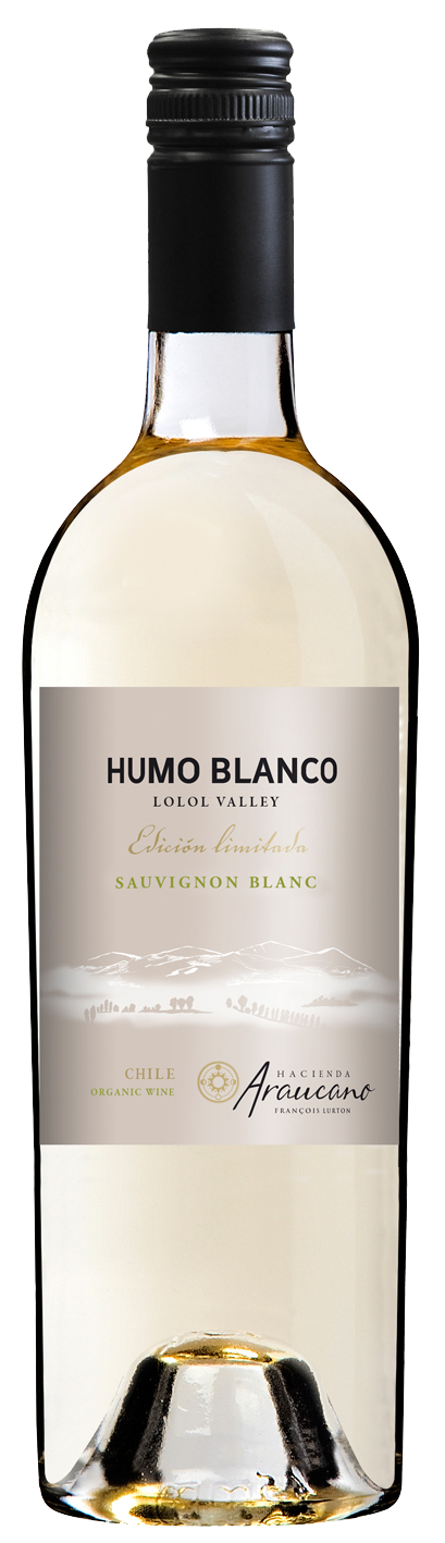 Humo Blanco Sauvignon---2011---Blanc---Hacienda Araucano---0.75