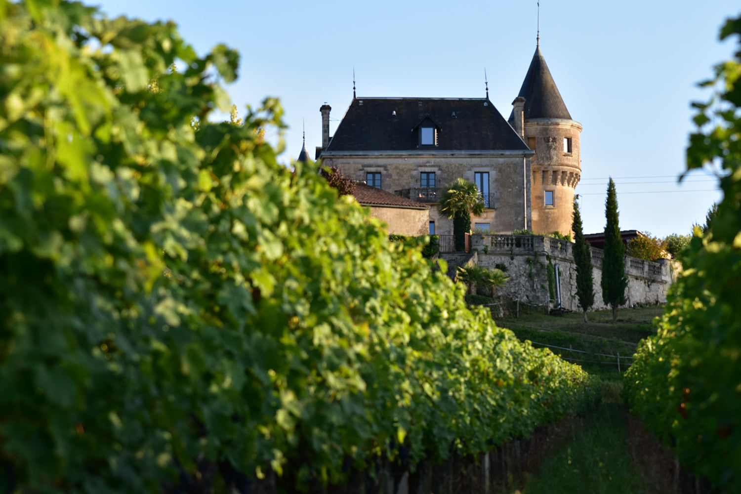 Chateau De La Grave Caractere Palais du vin