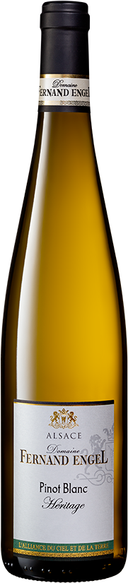 Pinot Blanc Reserve---2019---Blanc---Fernand Engel---0.75