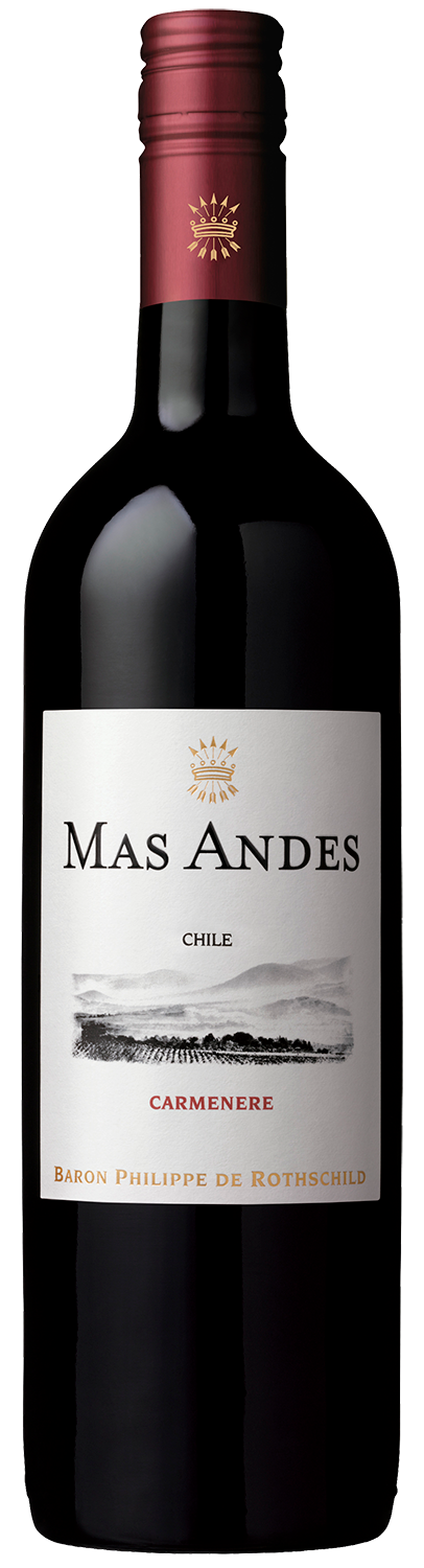Mas Andes Carmenere---2021---Rouge---Mas Andes---0.75