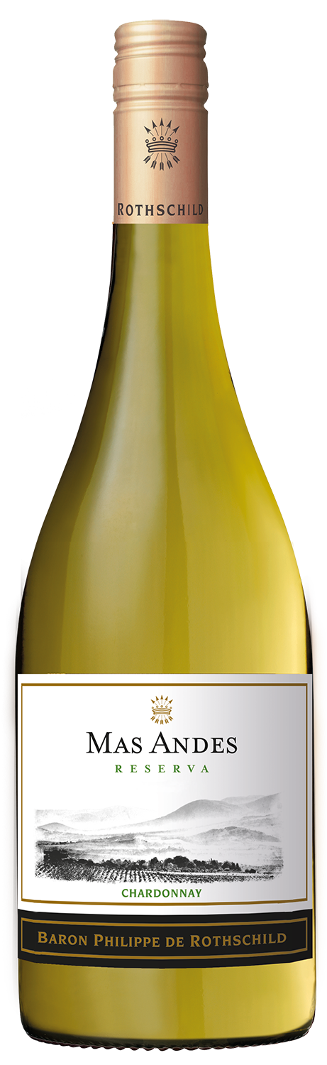 Mas Andes Reserva Chardonnay---2022---Blanc---Mas Andes---0.75